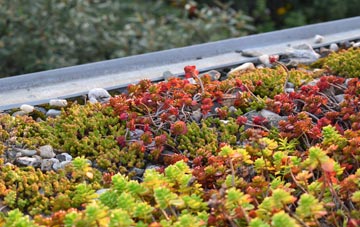 the cost of Egerton green roof installation